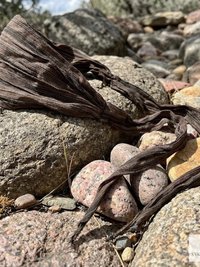 Brown Stripe Tie Back Headband - Stylish Bohemian Head Scarf, Headbands for Women